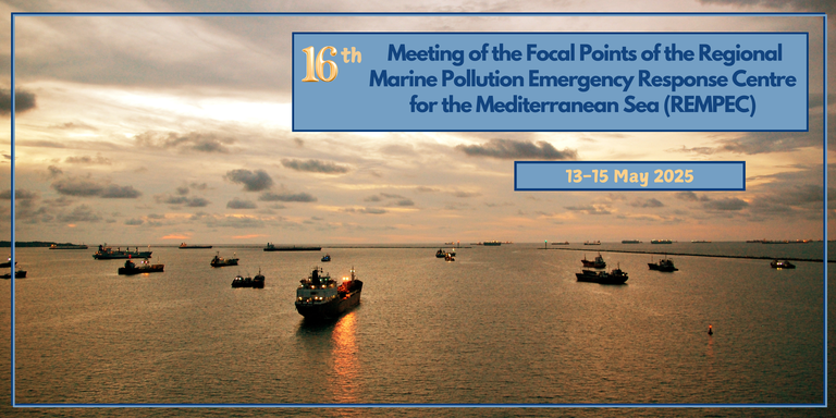 Banner for Website Event Page - 16th Focal Points Meeting.png